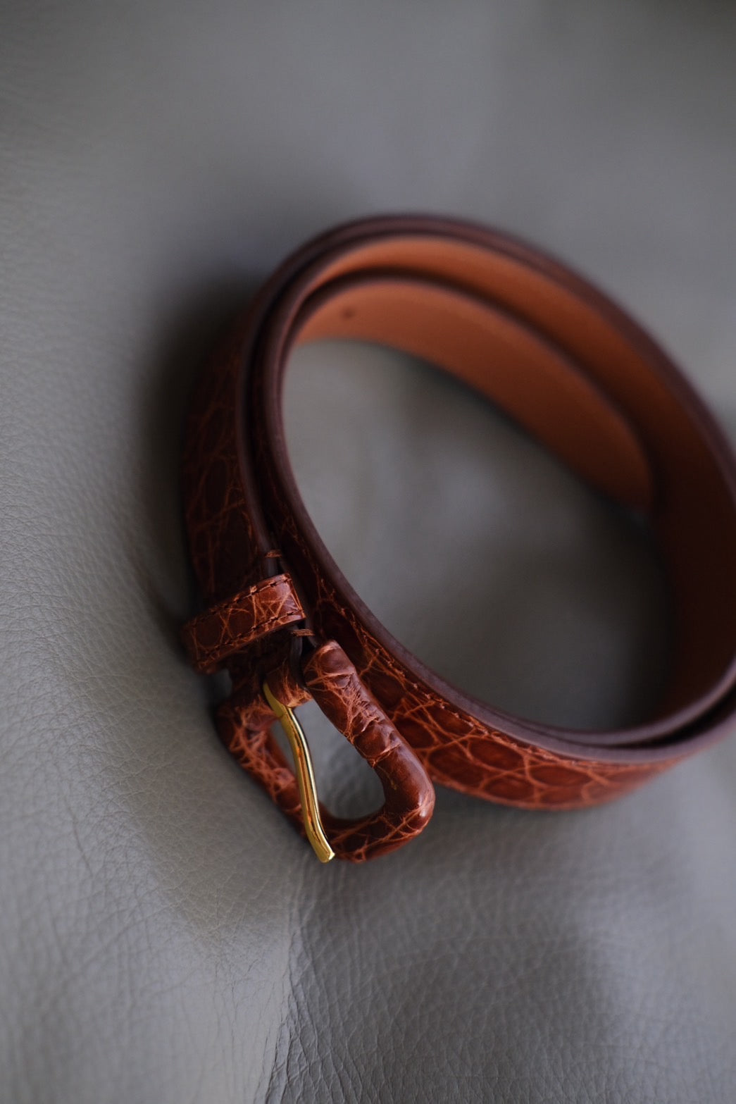 Anderson's Croc. Belt / 80cm